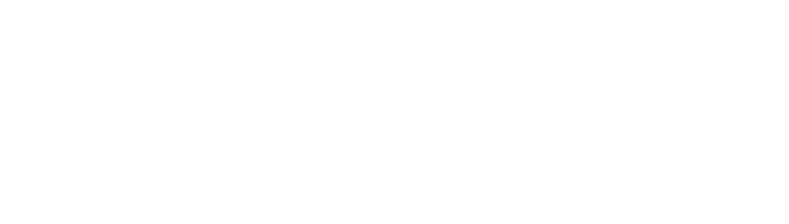 ACO Autohaus Fritsche Logo